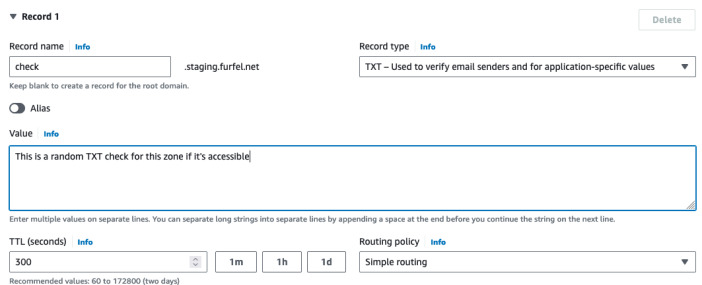 Creating TXT record in child zone
