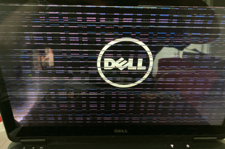 Laptop glitching